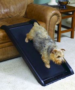 Smart Dog Ramp Jr