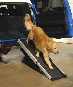 Smart Dog Ramp