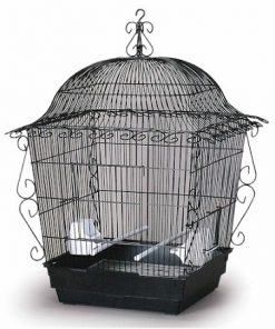 Elegant Scrollwork Bird Cage - White