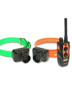 2702T&B Training & Beeper Collar