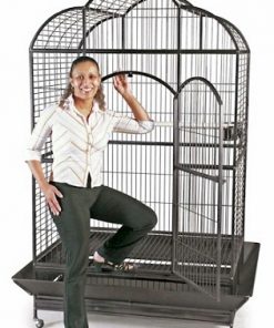 Silverado Macaw Dome Top Cage