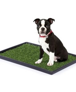 Tinkle Turf - Large