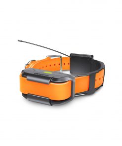 Pathfinder Extra GPS and E-Collar - Orange