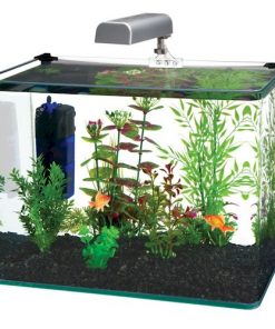 Radius 5 Gallon Glass Aquarium Kit