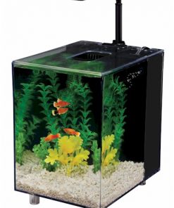 Prism Nano Aquarium Kit - Black