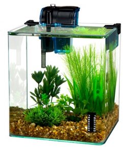 Vertex Desktop Aquarium Kit