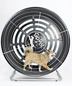 GoPet TreadWheel For Small Dogs