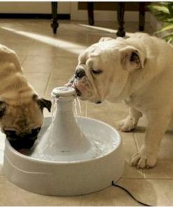 Drinkwell 360 Pet Fountain