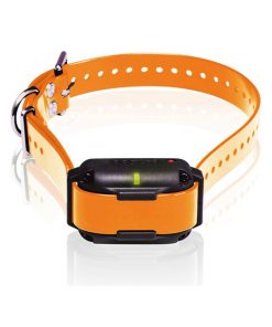 Dogtra Edge RT Trainer Extra Collar - Orange