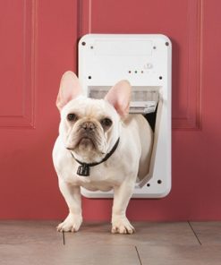 PetSafe Smart Door Electronic Pet Door - Small