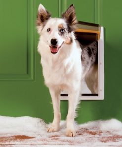 PetSafe Extreme Weather Pet Door - Medium