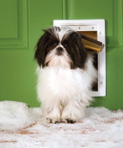 PetSafe Extreme Weather Pet Door - Small