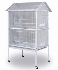 Aviary Flight Bird Cage