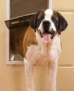 PetSafe Freedom Pet Door - Extra Large