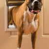 PetSafe Freedom Pet Door - Large