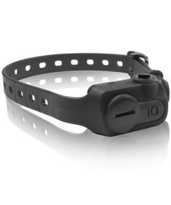 iQ No Bark Collar Black