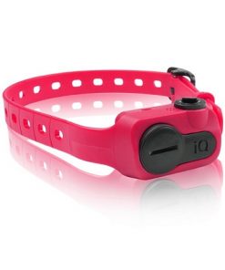 iQ No Bark Collar Pink