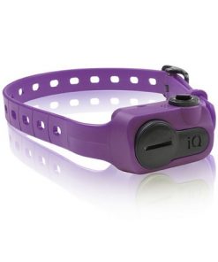 iQ No Bark Collar Purple