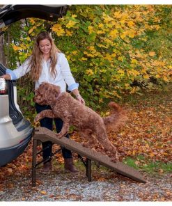 Free-Standing Extra Wide Carpeted Pet Ramp