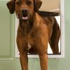PetSafe Plastic Dog Door - Extra Large