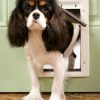 PetSafe Plastic Dog Door - Small