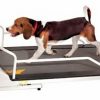 PetRun PR720F Dog Treadmill