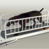 PetRun PR725 Dog Treadmill