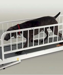 PetRun PR725 Dog Treadmill