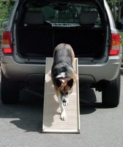 PetStep Folding Dog Ramp