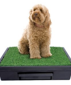 Pet Loo Potty Training System - Large