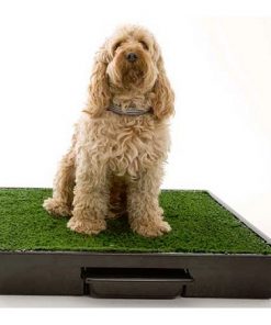 Pet Loo Potty Training System - Medium