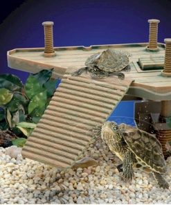 Reptology Small Turtle Pier