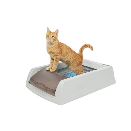 ScoopFree Orginial Self Cleaning Litter Box - Taupe