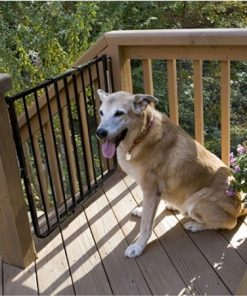 Stairway Special Outdoor Pet Gate - White