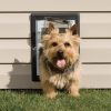 PetSafe Wall Dog Door - Small
