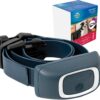PetSafe Add-A-Dog Receiver Collar