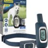 PetSafe 300 Yard Lite Remote Trainer