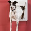 PetSafe Electronic Pet Door - Large - PPA11-10709