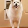 PetSafe Freedom Pet Door - Medium - PPA00-10860