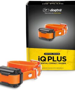 IQ Plus Additional Receiver Orange Strap
