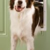 PetSafe Plastic Dog Door - Large - PPA00-10960